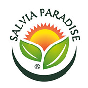 salvia paradise